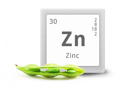 zinc (Zn)