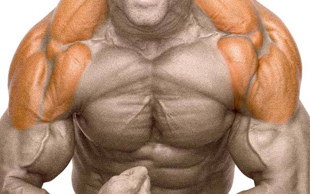 Entrenamiento de hombros