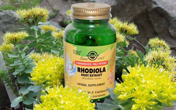 La_Rhodiola_Rosea